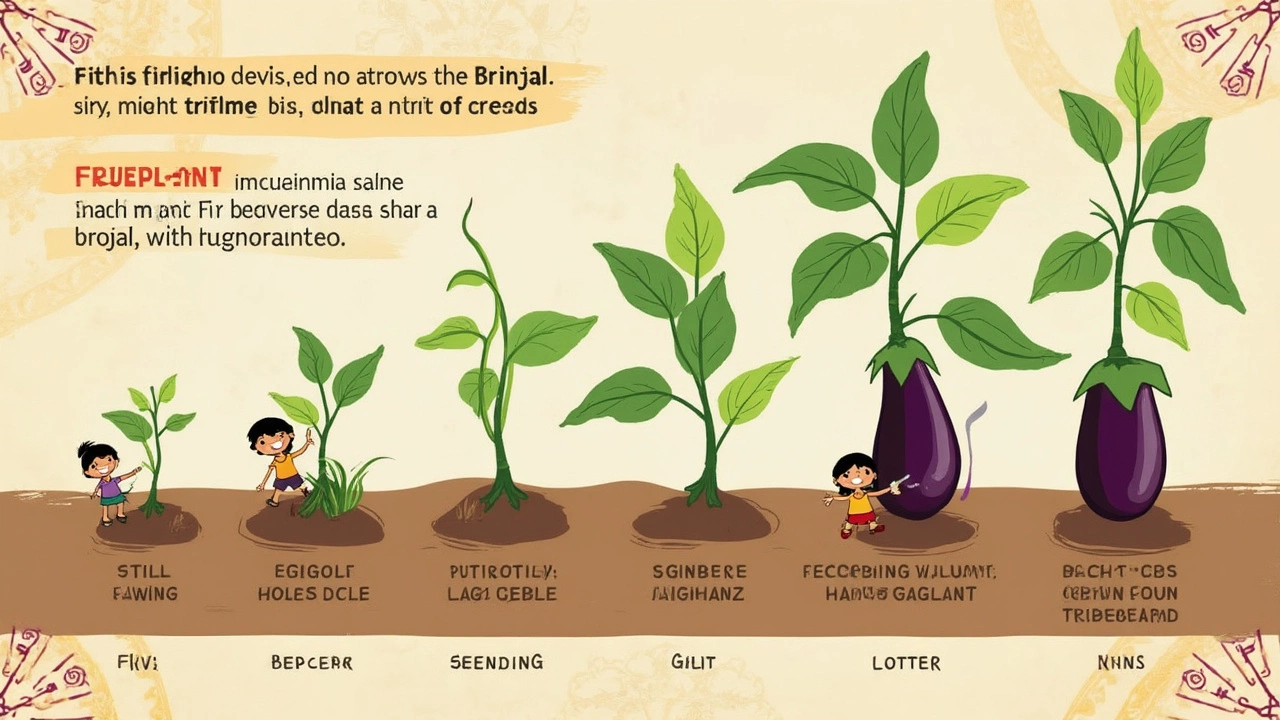 Brinjal Varieties Loved Across India