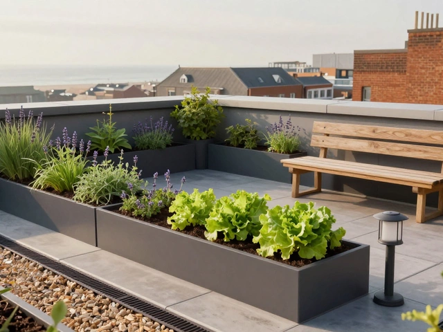 How to Make a Rooftop Garden: A Simple Step-by-Step Guide