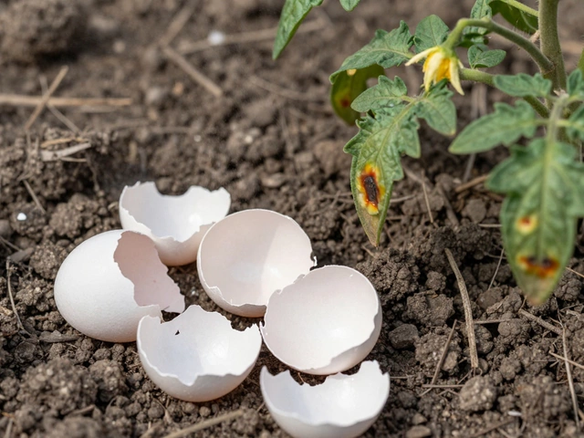 Are Crushed Eggshells Good for Plants? The Real Science Behind This Garden Myth
