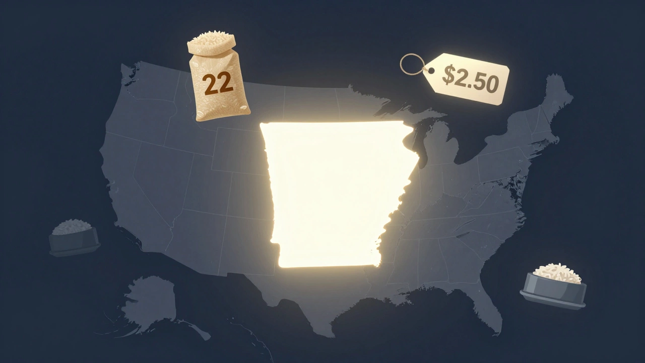 U.S. map highlighting Arkansas with rice icons, price tag, and school lunch tray.