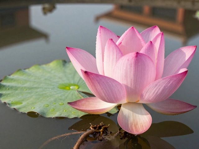 What is the Famous Plant in India? Top Native Flora Guide