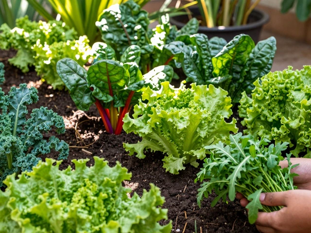 The Complete List of Vegetables for Your Kitchen Garden: A Practical Guide