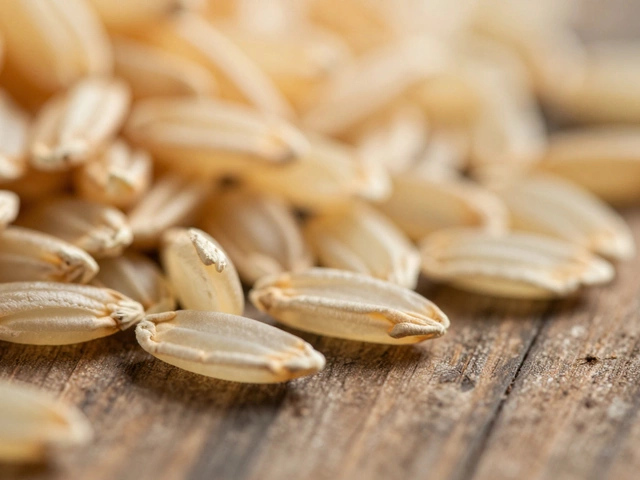 Why is Carolina Gold Rice So Good? History, Flavor, and Cultivation Guide
