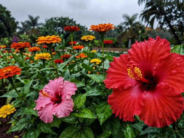 Best Rainy Season Flowers for Indian Gardens: Monsoon Blooms Guide