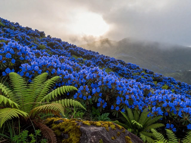 What is the Rare Flower in India? Top 7 Endangered Blooms You Need to Know