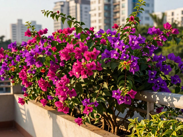 Best Plants for Year-Round Flowers in India: Top Choices for Every Season