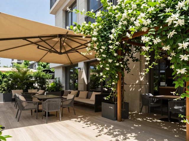 How to Keep Your Terrace Cool in Summer: Practical Tips for Hot Weather